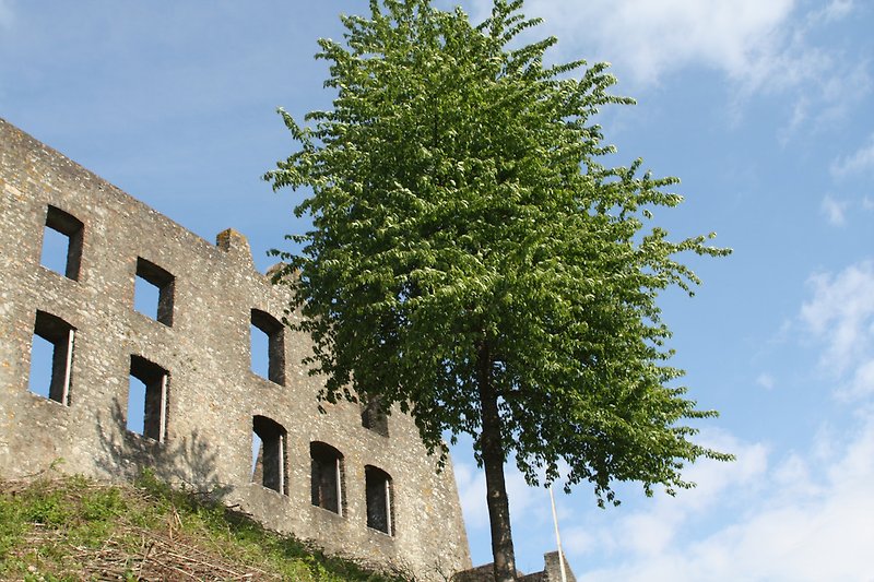 Burgruine in Ulmen, romantisch über dem Ulmener Maar gelegen.