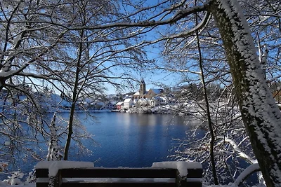 Eifelurlaub Ulmen I, Vulkaneifel