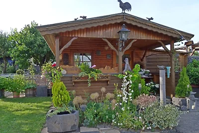 Apartament Apartment Eifel