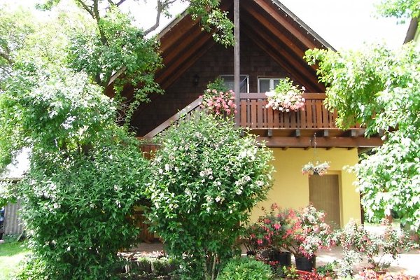 Ferienhaus Reichenau
