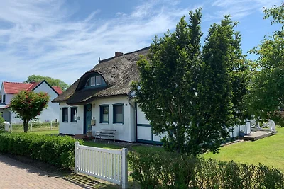 FEWO Becker 2-4- Pers- Darssveranda