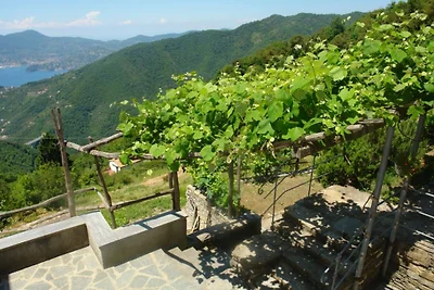 Casa di vacanza Casa dei Fiori Liguri 2