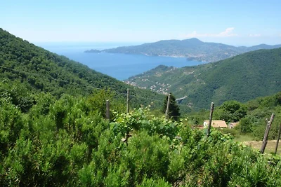 Casa di vacanza Casa dei Fiori Liguri 2