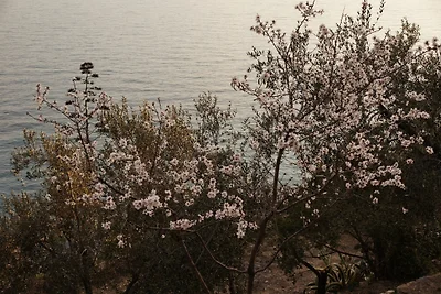 Casa vacanze Vacanza di relax Imperia