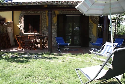 Günstig Urlaub Italien Tropea Hund