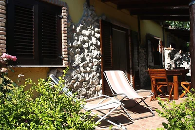 Günstig Urlaub Italien Tropea Hund
