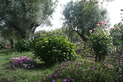 Günstig Urlaub Italien Tropea Hund