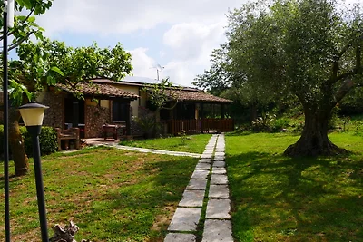 Günstig Urlaub Italien Tropea Hund
