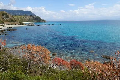 Vacances au calme en Italie- chien