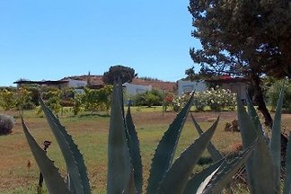 VILLA KOS