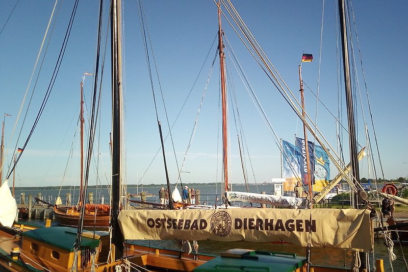 Hafen Dierhagen (ca. 250 m entfernt)