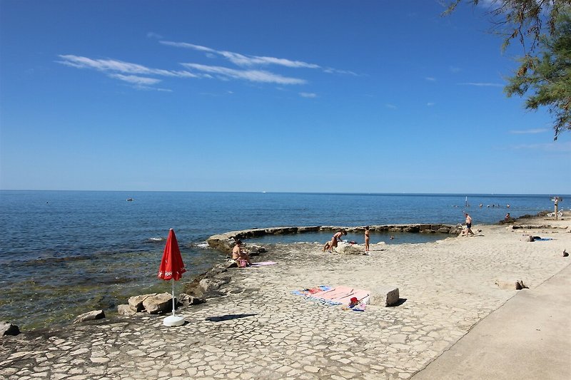 Traumhafte Küste: Sandstrand, türkisblaues Meer, Palmen und Wellen.