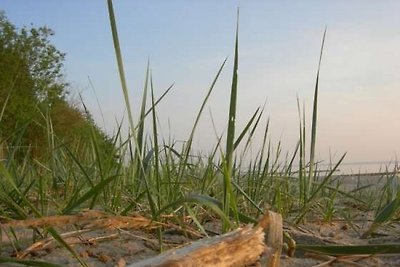 Settimana di vacanza esclusiva al mare