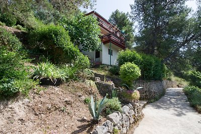 Ferienhaus Dugi Otok