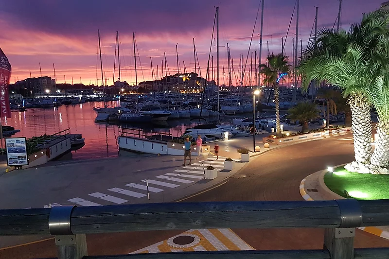 Yachten und Palmen am beleuchteten Hafen – maritimes Flair am Abend.