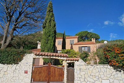 Le chêne de Provence;  Auriol