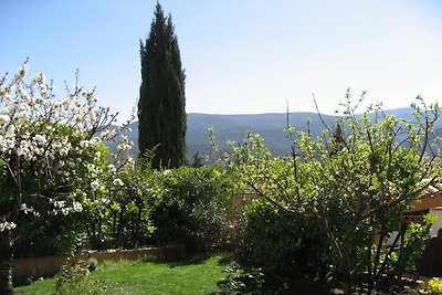 Le chêne de Provence;  Auriol
