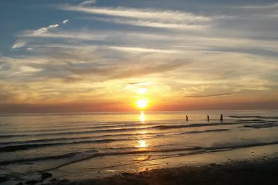 Strandperle direkt an den Dünen
