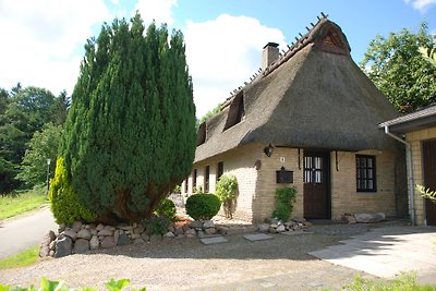 Ferienhaus Autal unter Reet        