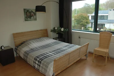 Ferienhaus Het Brekkense Wiel 50