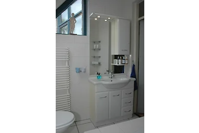 Ferienhaus Het Brekkense Wiel 50