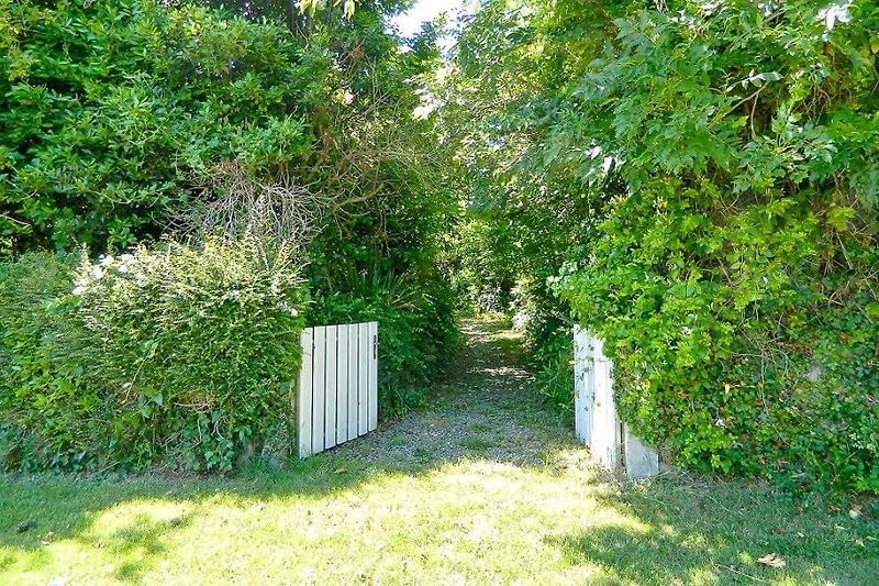 Cancello del giardino