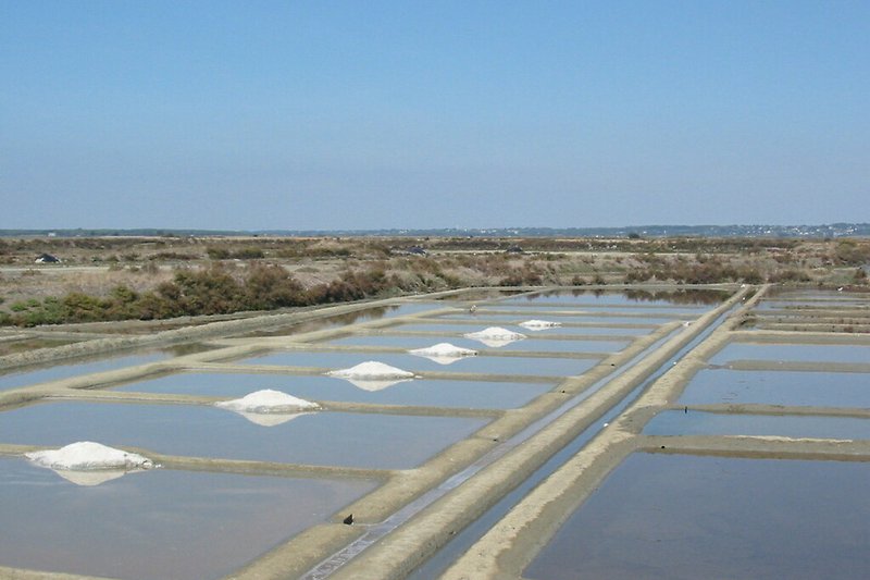 Die Salzfelder von Guerande