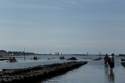 C1530 Plouguerneau-st