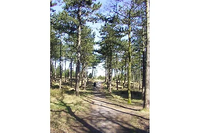 TEXEL72, RES. DE PELIKAAN 1