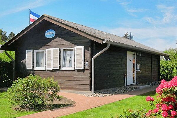 Ferienhaus Damp