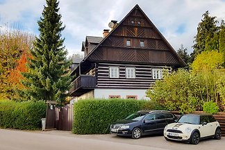 Ferienhaus Vidochov