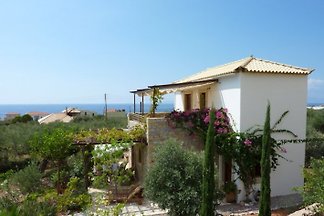 Greekhouse.nl