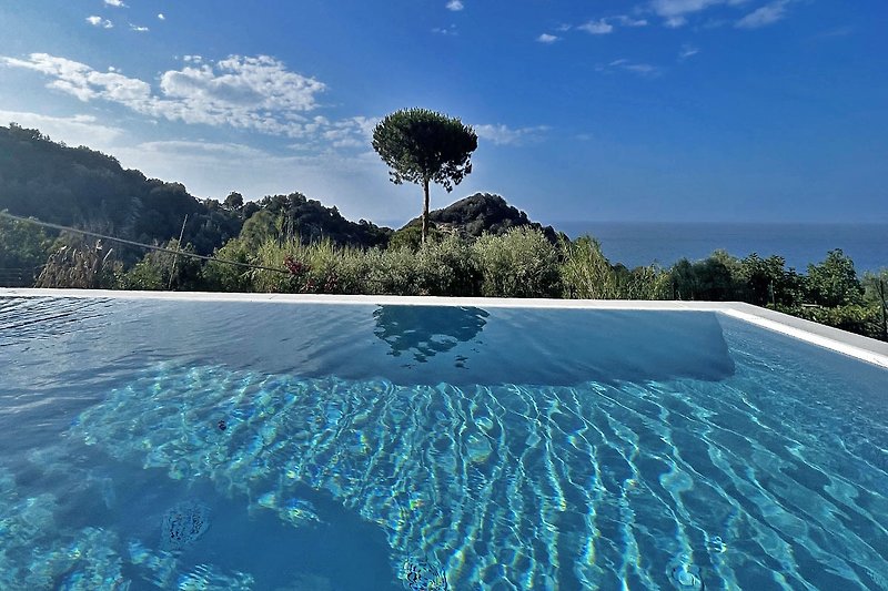 Schwimmbad mit blauem Himmel und natürlicher Landschaft. Entspannung am Wasser.