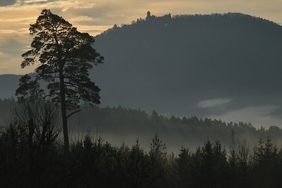 Der Wanderer