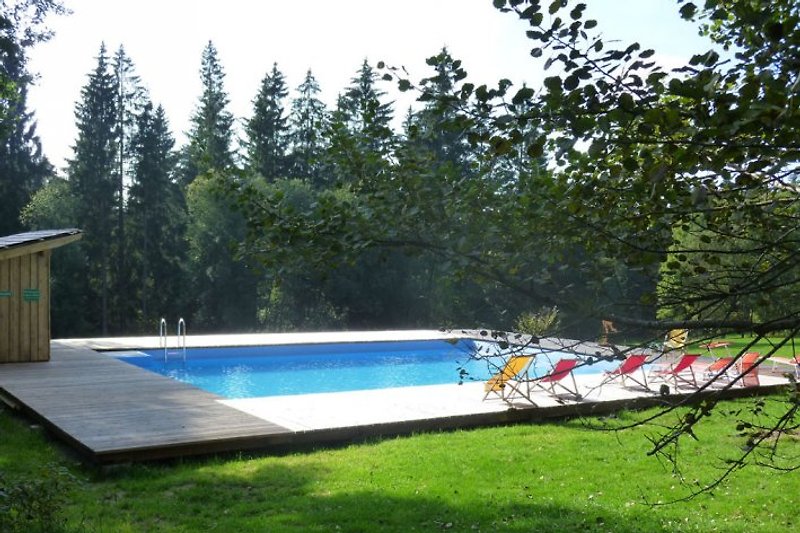 Waldschwimmbad mit erfrischendem Quellwasser nur für Gäste