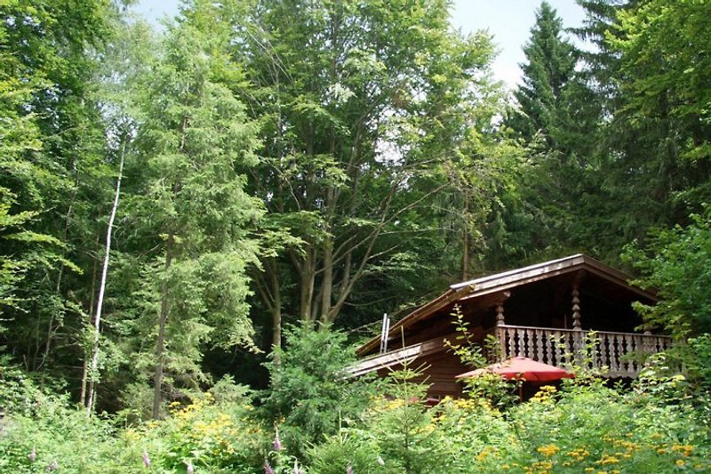 Dürrwieser Hexenhaus, klein aber fein im Sommerwald