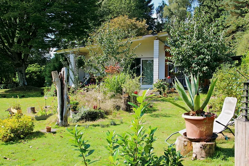 Tuin ongeveer 1800 vierkante meter groot