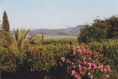 L'Aioncino