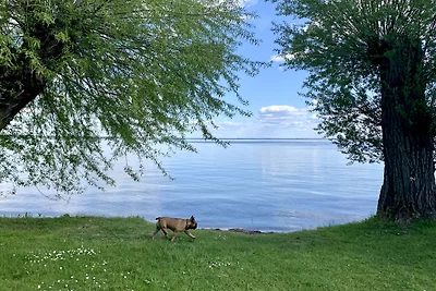 Das "Sommerhaus" ❤ mit 2 FeWo