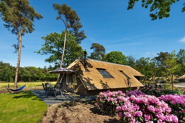 Vakantiehuis Putten