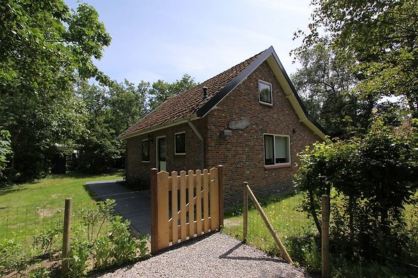 Ferienhaus Nieuw-Haamstede