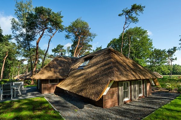 Vakantiehuis Putten