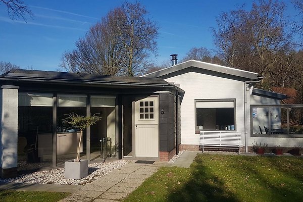 Ferienhaus Renesse