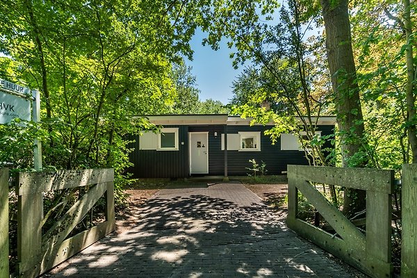 Ferienhaus Nieuw-Haamstede