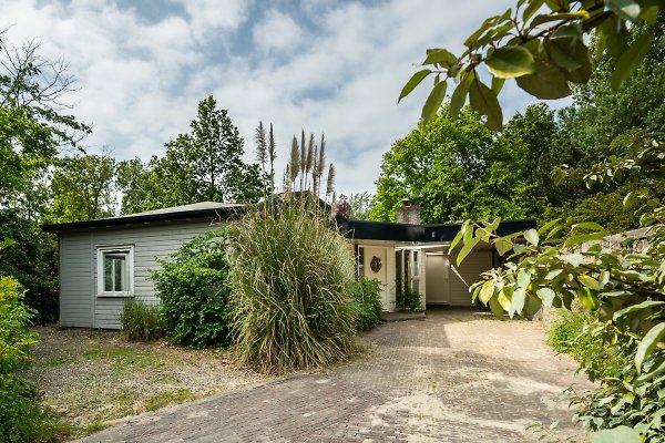 Ferienhaus Nieuw-Haamstede