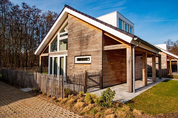 Ferienhaus Renesse