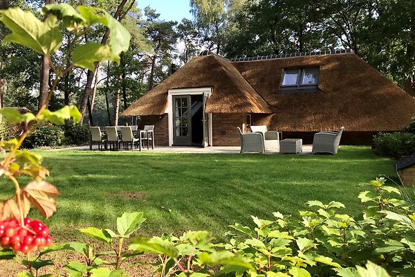 Vakantiehuis Putten