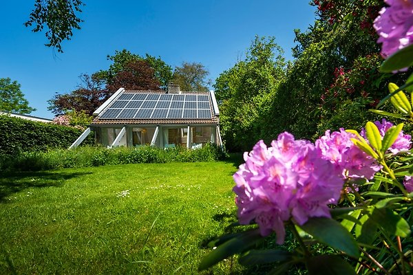 Ferienhaus Westenschouwen