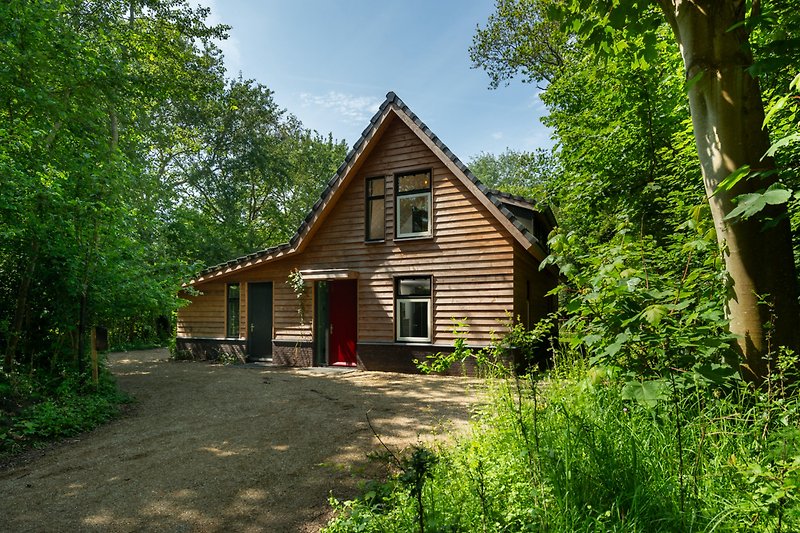 Gemütlicher Garten mit Holzhaus, Bäumen und grüner Wiese.