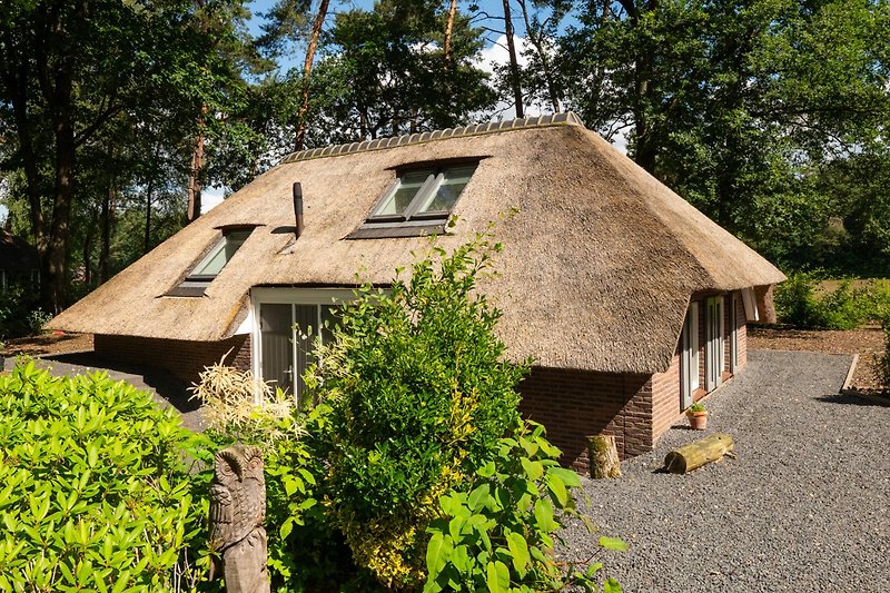 Reetgedecktes Bauernhaus mit Holzfassade, umgeben von Bäumen und Sträuchern.